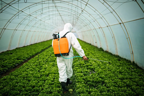 Best Pest Prevention Services  in Tarrant, AL