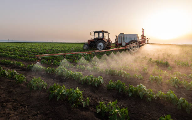 Best Pest Control Treatment  in Tarrant, AL