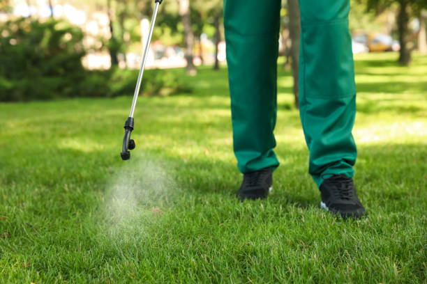 Best Pest Prevention Services  in Tarrant, AL