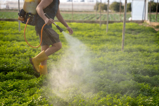 Pest Prevention Services in Tarrant, AL