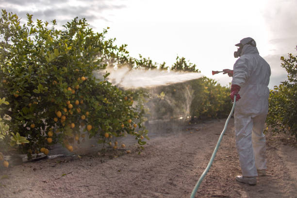 Pest Control Cost in Tarrant, AL