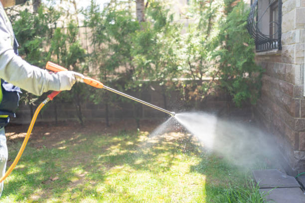 Best Mosquito Control Services  in Tarrant, AL