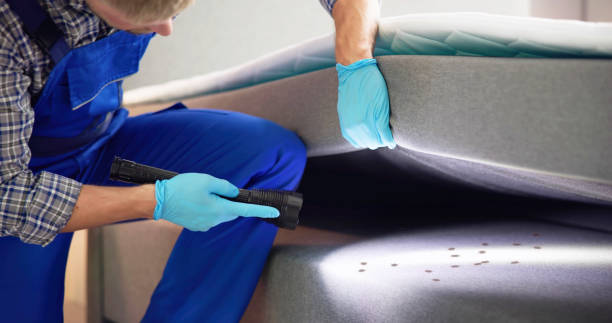 Best Best Pest Control Companies  in Tarrant, AL
