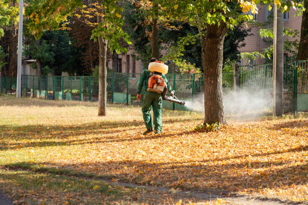 Trusted Tarrant, AL Pest Control Experts