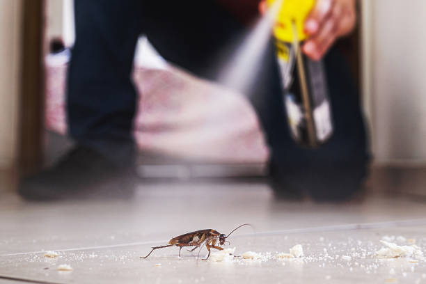 Best Commercial Pest Control Services  in Tarrant, AL
