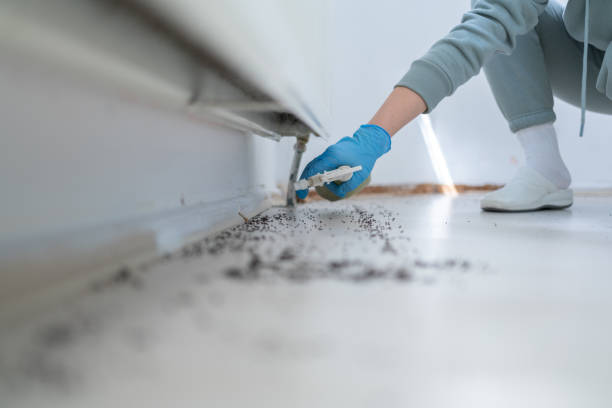 Best Emergency Pest Control  in Tarrant, AL